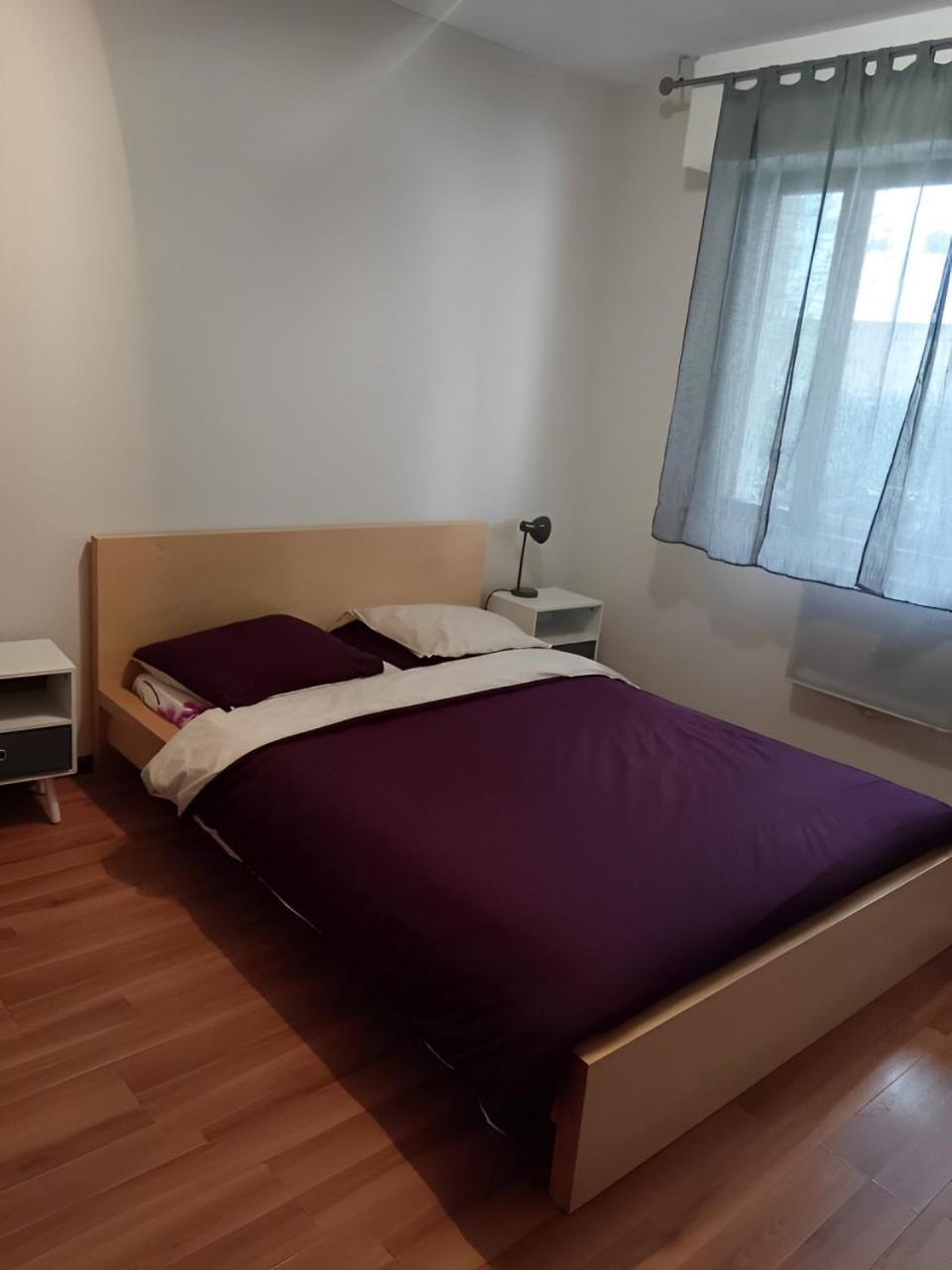 Appartement Cosy A Στρασβούργο Εξωτερικό φωτογραφία